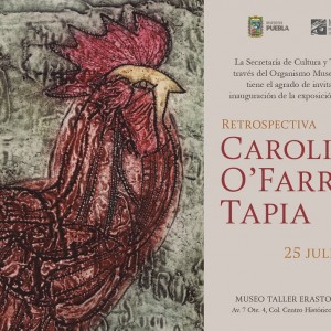 01 Imagen de Carolina O'Farril