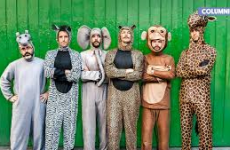 03 Adultos infantiles.