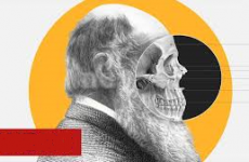 02 Darwin, nuestro ancestro.