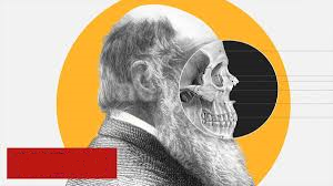 02 Darwin, nuestro ancestro.