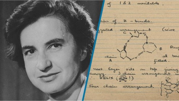 body-rosalind-franklin-portrait-notes-DNA-doublehelix-1_0