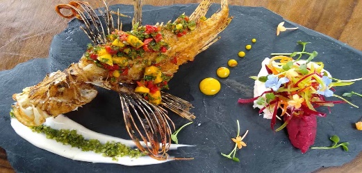 pez leon con chimichurri