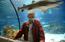 JOAN DOMENEC ROS EN EL AQUARIUM DE BARCELONA. 25/10/2006. FOTO: CRISTINA GALLEGO. CONTACTAR CON LA FOTÓGRAFA PREVIAMENTE A LA PUBLICACIÓN DE LA FOTO EN CUALQUIER MEDIO. TEL: 639 43 07 25 / crisgallego@telefonica.net