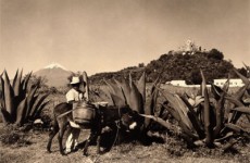 Cholula_por Hugo Brehme_ca_1930-1940