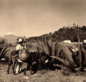 Cholula_por Hugo Brehme_ca_1930-1940