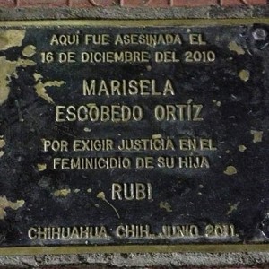 imagenes-estepais-octubre2020-anibalsantiago-28deoctubre