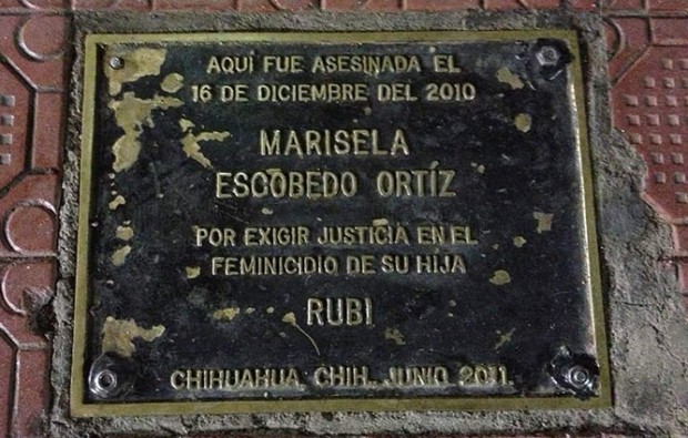 imagenes-estepais-octubre2020-anibalsantiago-28deoctubre