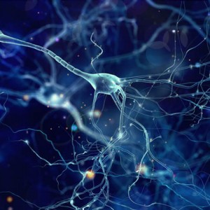 mecanismo-de-sincronizacion-cerebral-facilita-el-aprendizaje-del-lenguaje-822x617