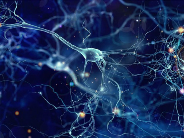 mecanismo-de-sincronizacion-cerebral-facilita-el-aprendizaje-del-lenguaje-822x617